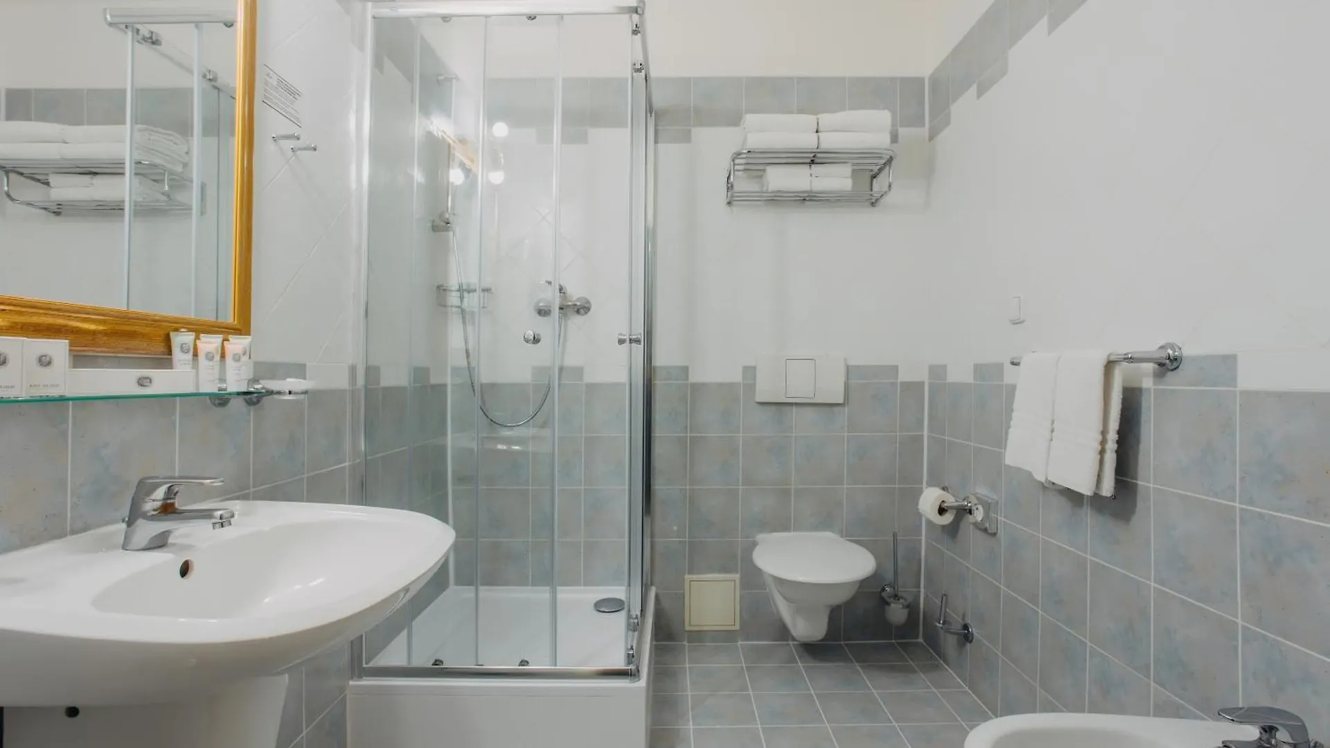 Louis Leger - Czech Leading Hotels Prague